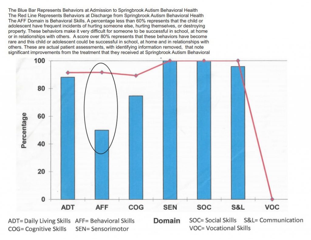 Springbrook Autism Program An Program for Results