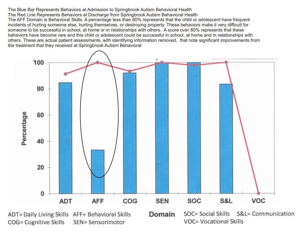 Springbrook Autism Program: An Uncommon Program for Uncommon Results ...