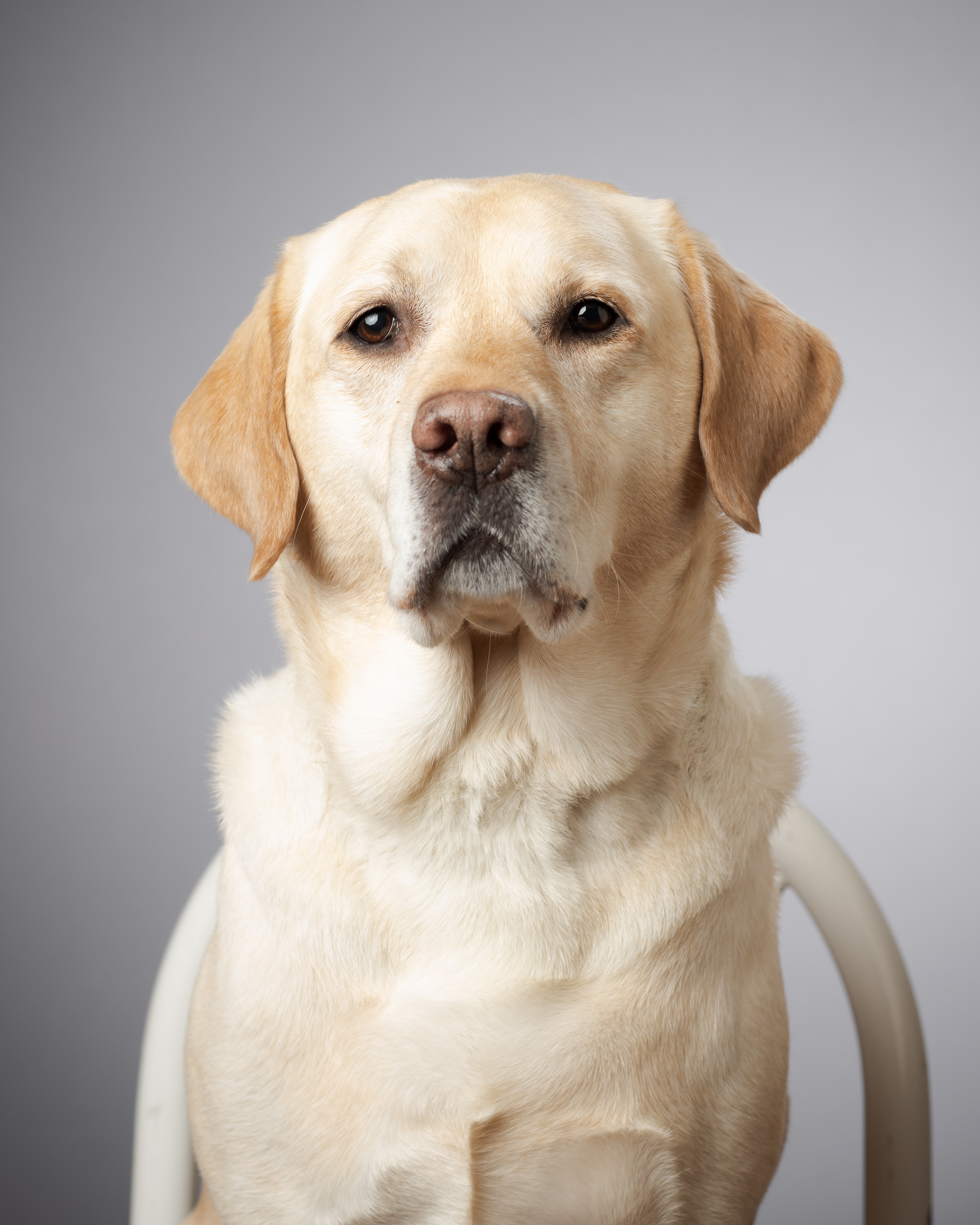 Introducing Jesse—The Newest Resident in Our Autism Therapy Program